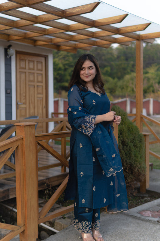 Shreyashi Verma in Firoz - Blue Chanderi Embroidered Suit Set