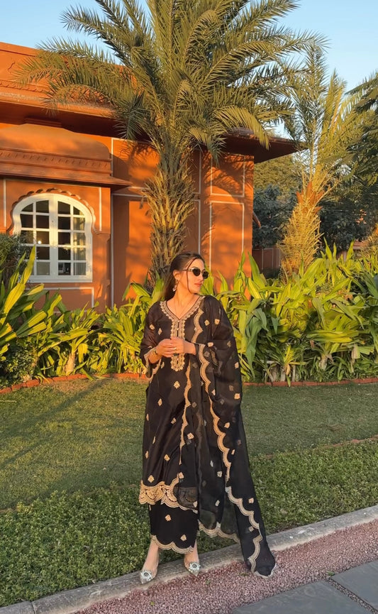 Deviya Singh in Rangraas - Black embroidered chanderi silk suit set