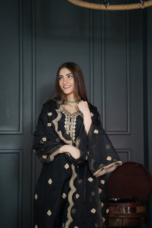 Shreya Lakhani in  Rangraas - Black embroidered chanderi silk suit set