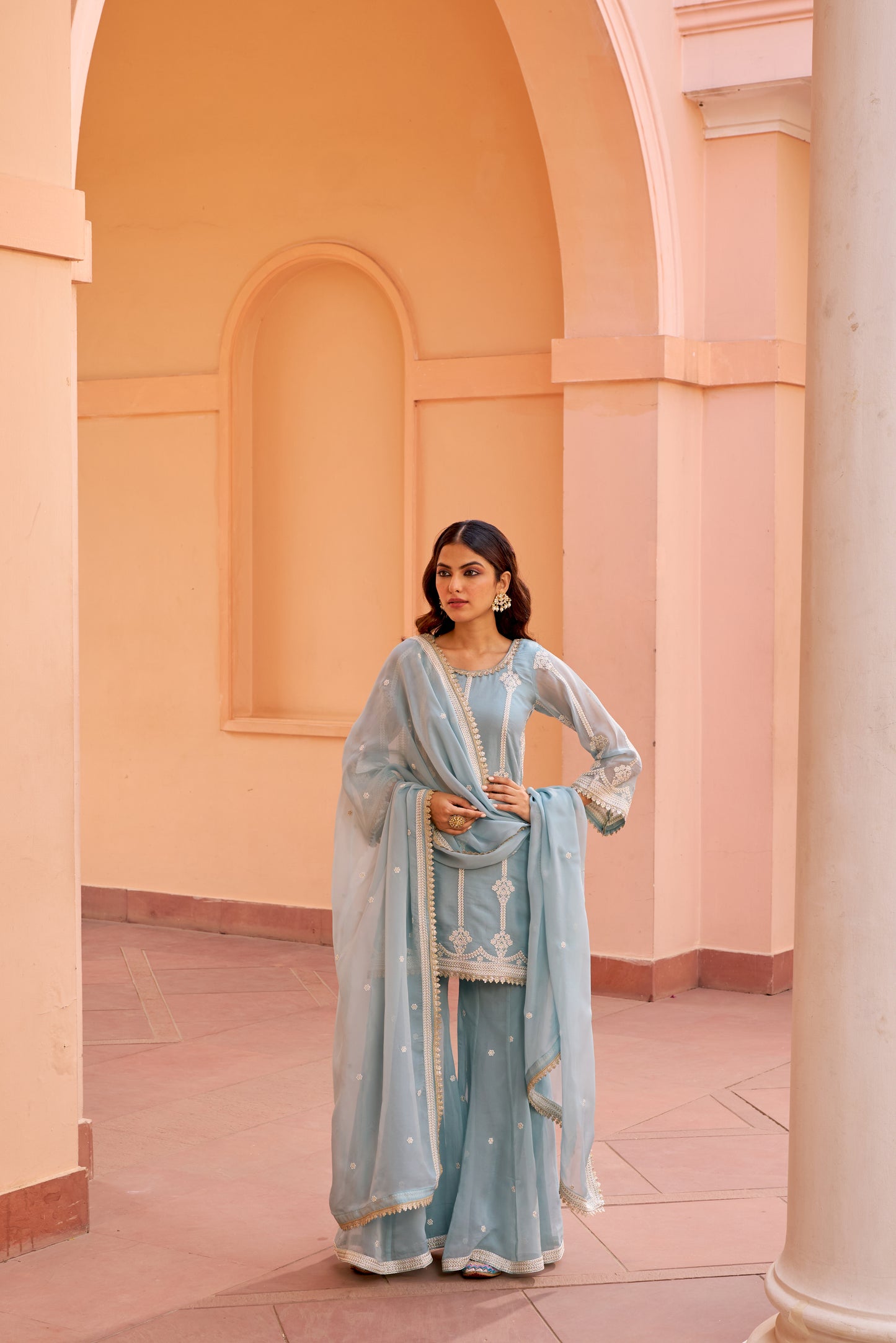 Tridha Choudhary in Chandani - Blue Organza Sharara Set.