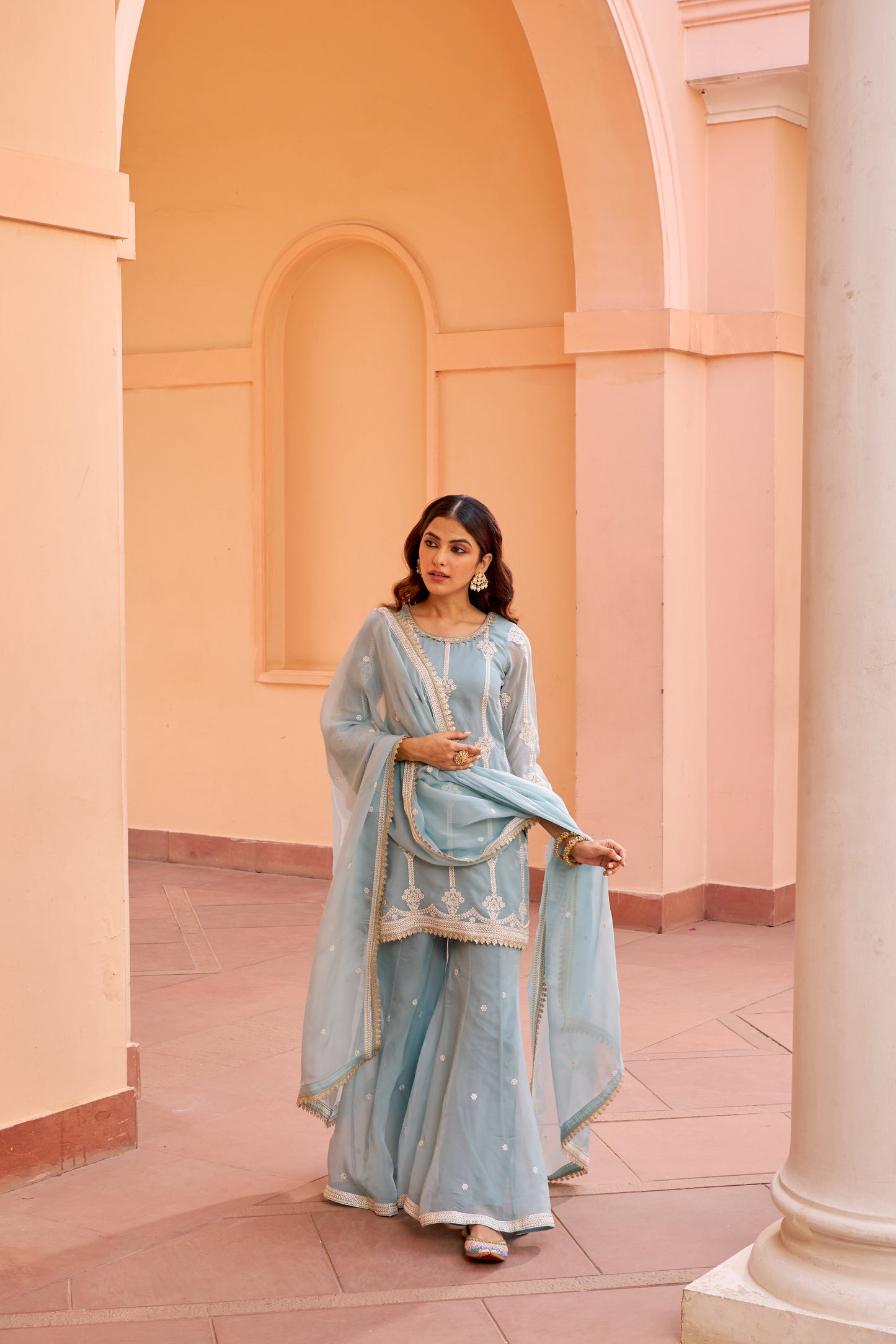 Tridha Choudhary in Chandani - Blue Organza Sharara Set.