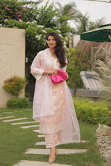 Dhirti Mehra in Gulmohar - Peach Embroidered Suit Set