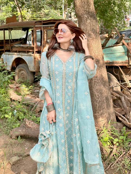 Ishleen kaur In Jashan - Blue Organza Anarkali Set.