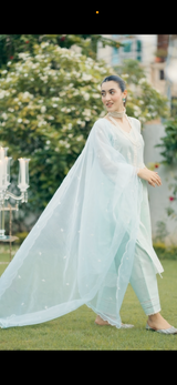 Tanisha Puri in Neelkamal - Mint Green Embroidered Suit Set.