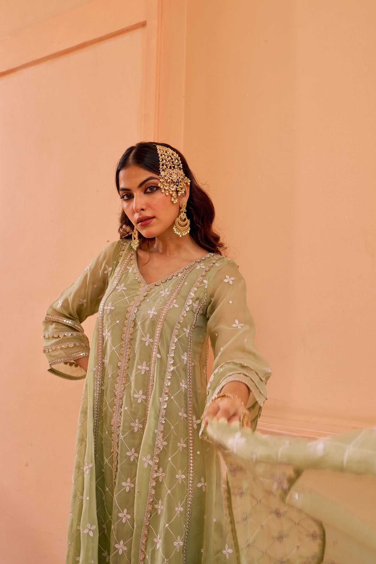 Chamak - Green Organza Anarkali Set.