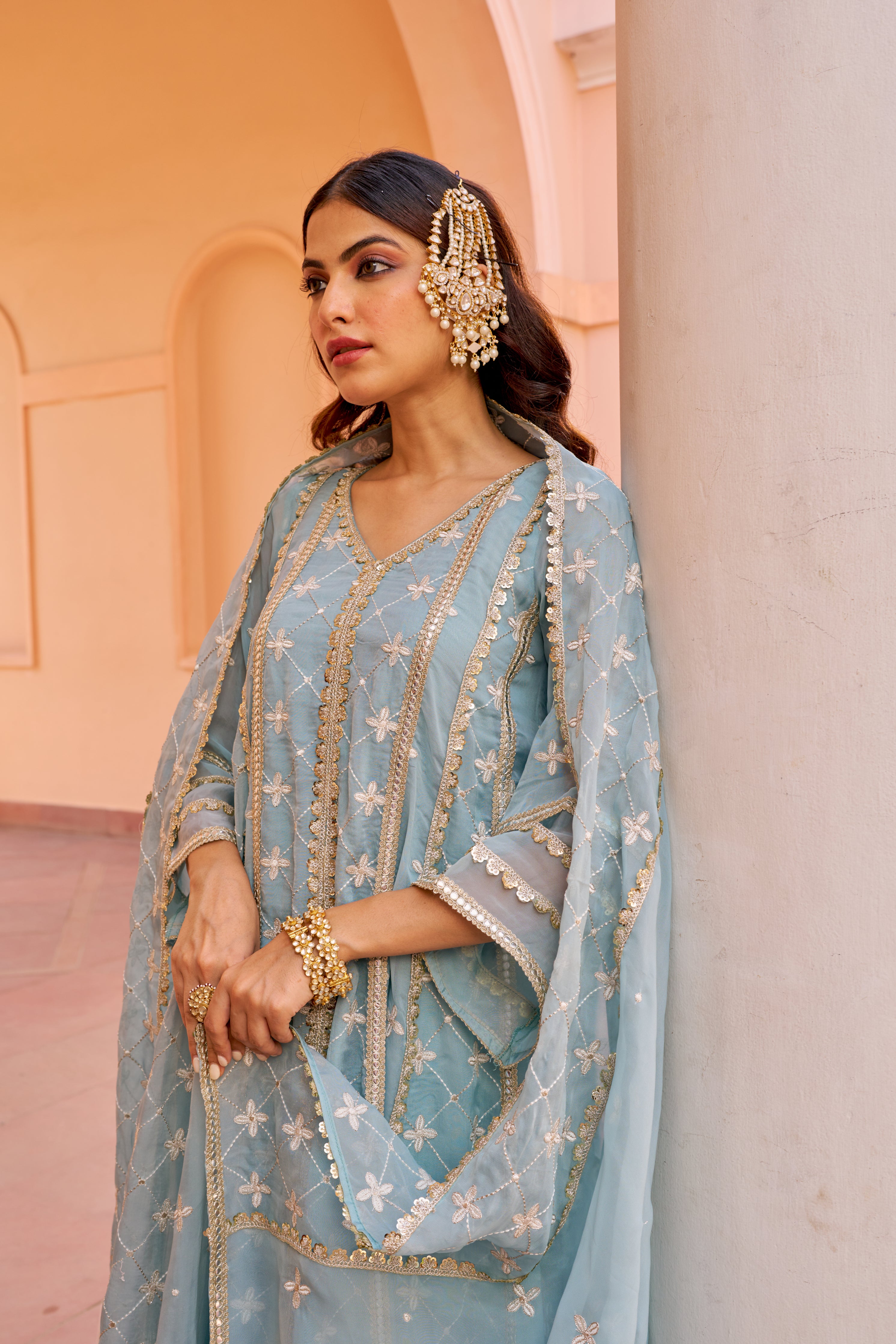 Ishleen kaur In Jashan - Blue Organza Anarkali Set.