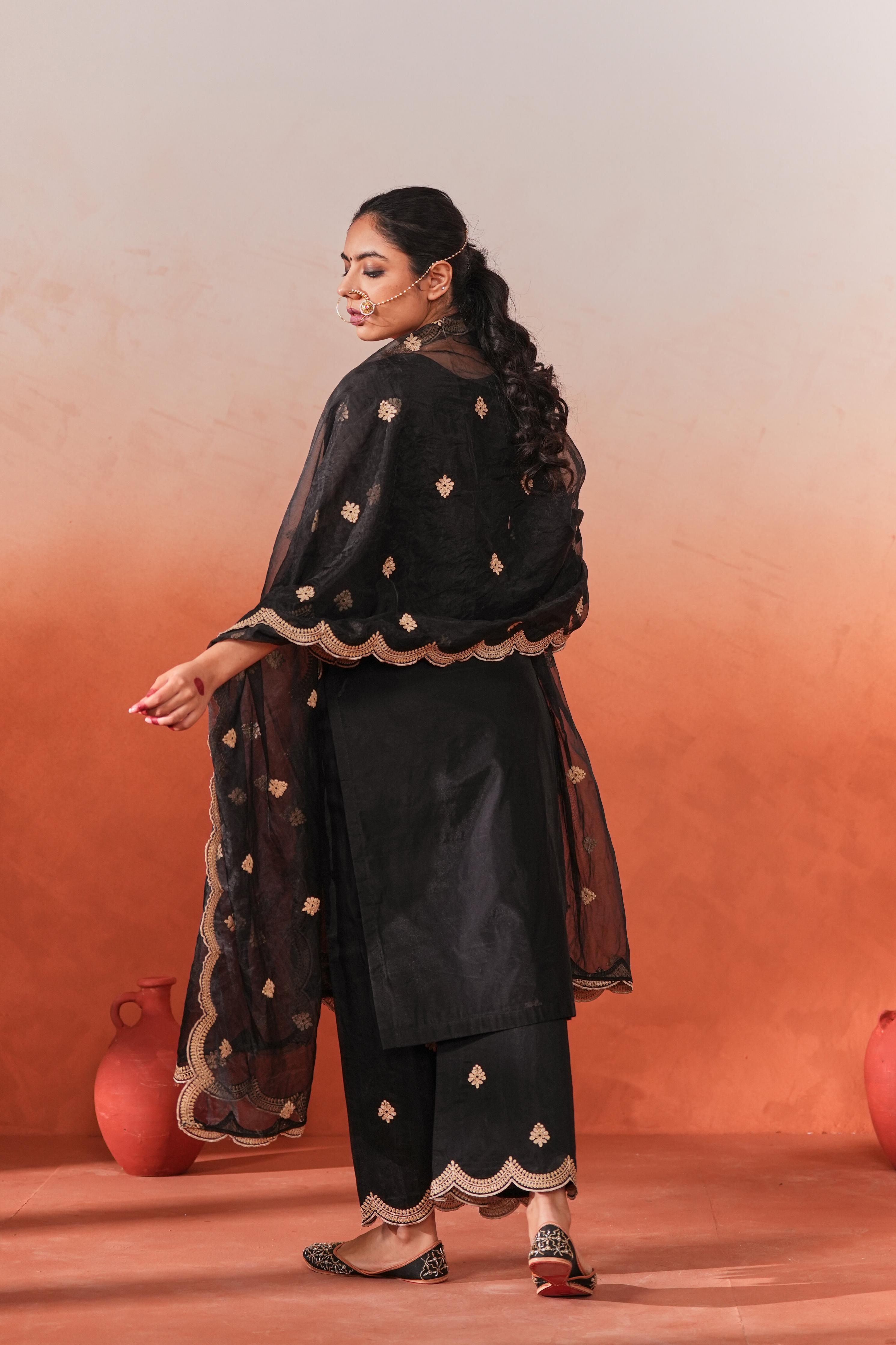 Deviya Singh in Rangraas - Black embroidered chanderi silk suit set