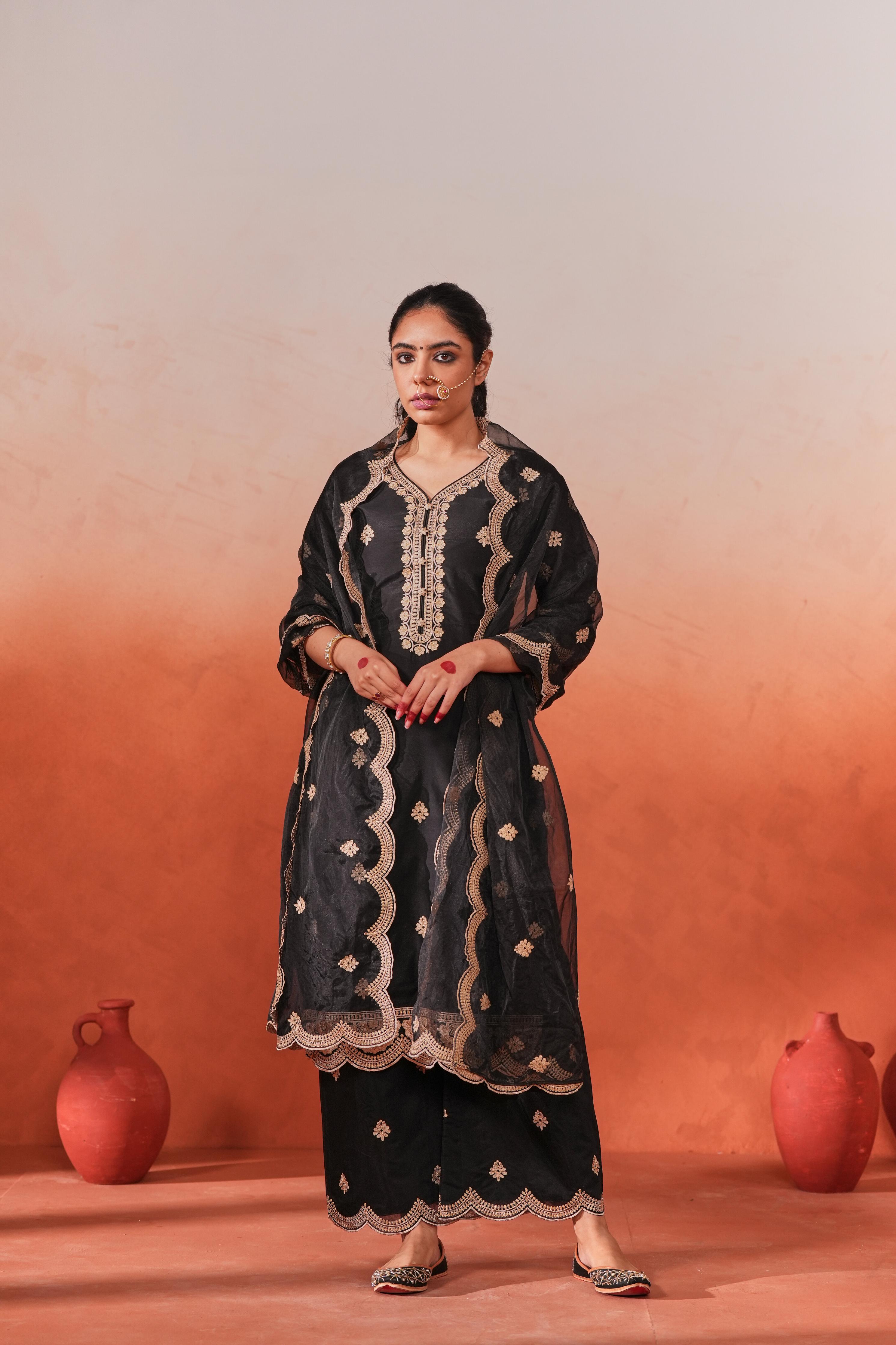 Shreya Lakhani in  Rangraas - Black embroidered chanderi silk suit set
