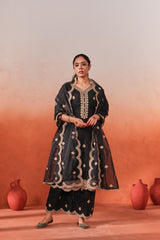Deviya Singh in Rangraas - Black embroidered chanderi silk suit set