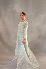 Gulbahar - Mint Green Embroidered Suit Set.