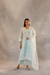 Tanisha Puri in Neelkamal - Mint Green Embroidered Suit Set.